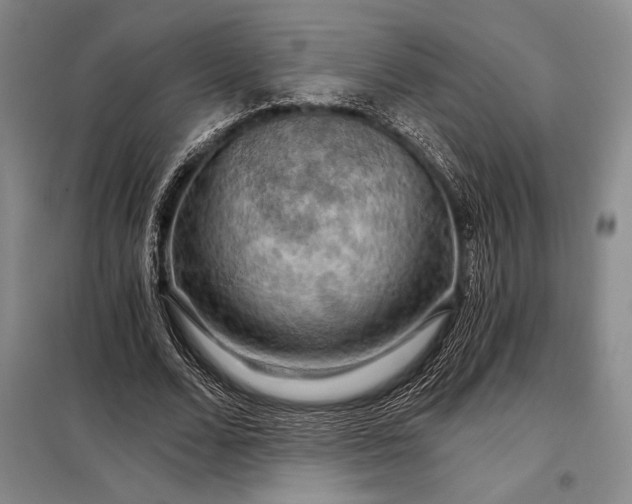 X0000098130680200805011322