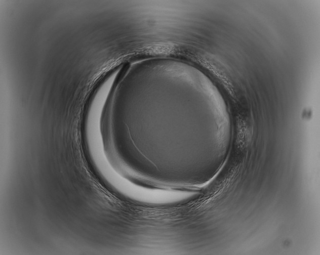 X0000098130681200805011322