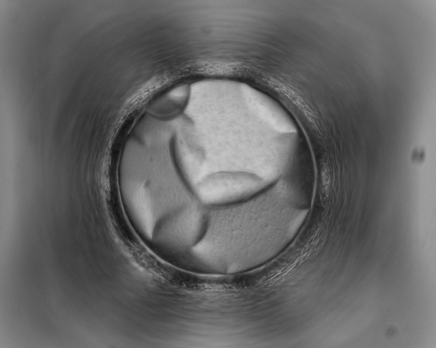 X0000098130682200805011322