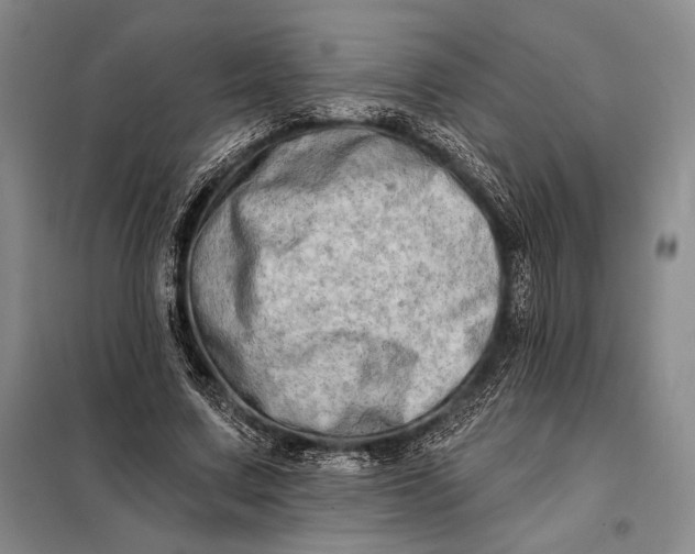 X0000098130683200805011322