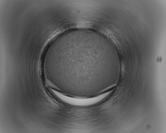 X0000098130684200805011322