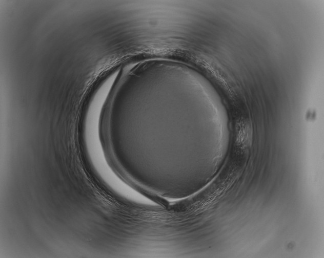 X0000098130685200805011322