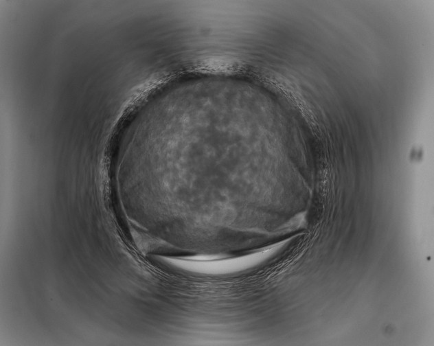 X0000098130688200805011321