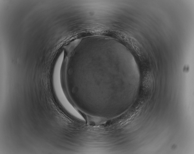 X0000098130689200805011321