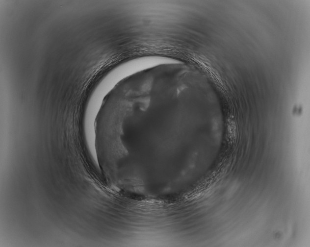 X0000098130691200805011321
