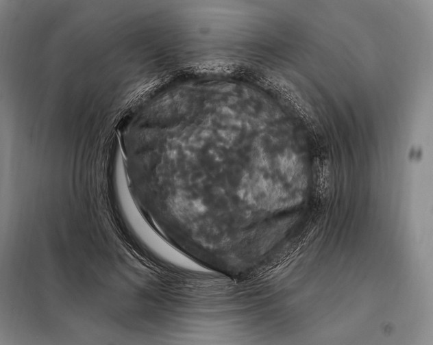 X0000098130692200805011321