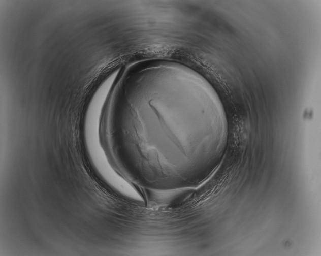 X0000098130693200805011321