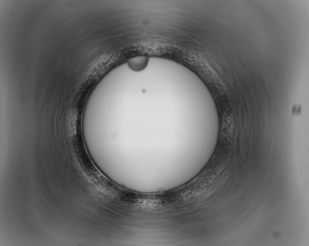 X0000098130694200805011321