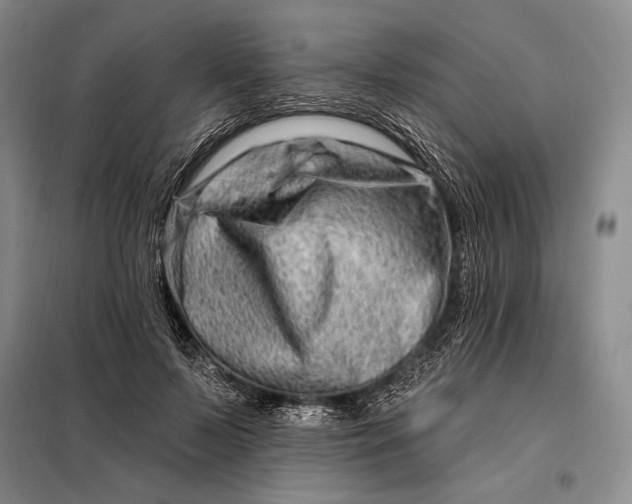 X0000098130695200805011321