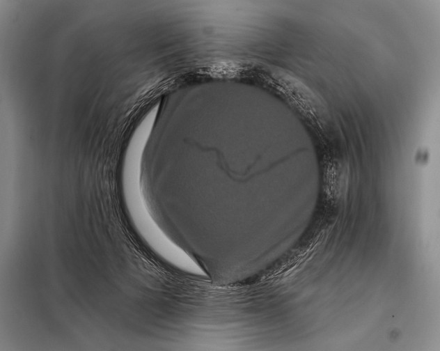 X0000098130697200805011321