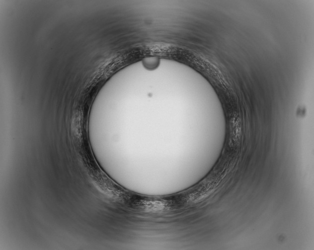 X0000098130698200805011321