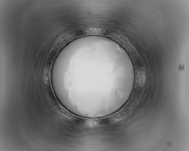 X0000098130701200805011321