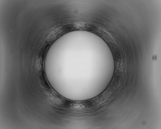 X0000098130702200805011321