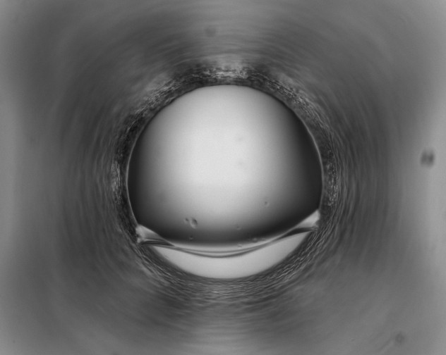 X0000098130704200805011321