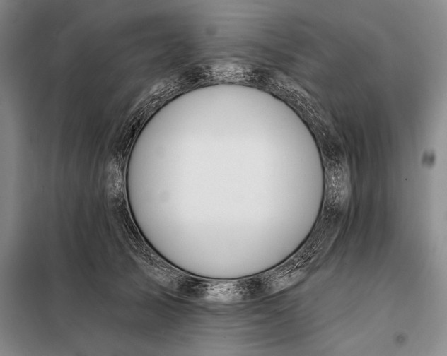 X0000098130705200805011321