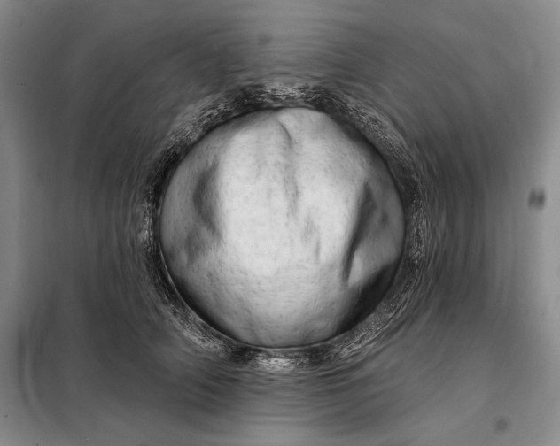 X0000098130706200805011321