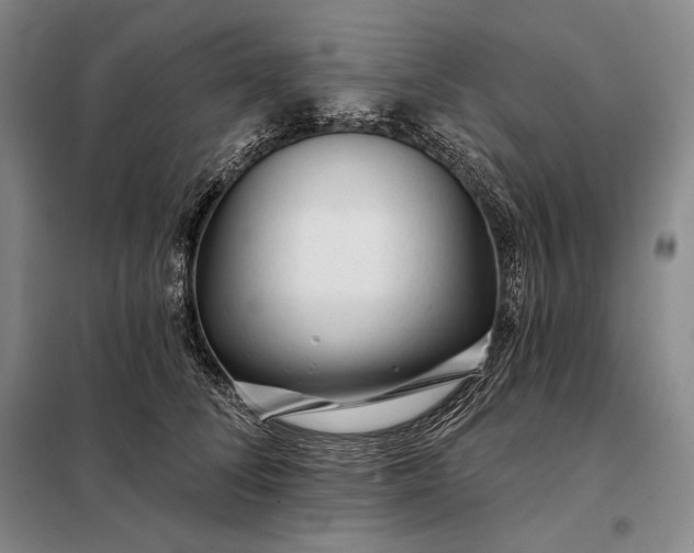 X0000098130708200805011321