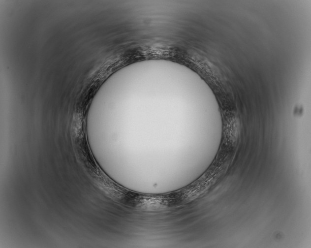 X0000098130709200805011321