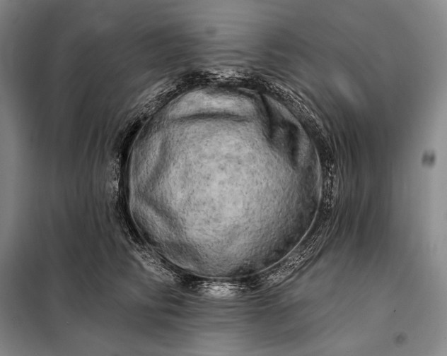X0000098130710200805011321
