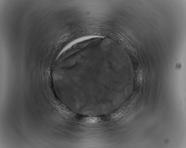 X0000098130711200805011321