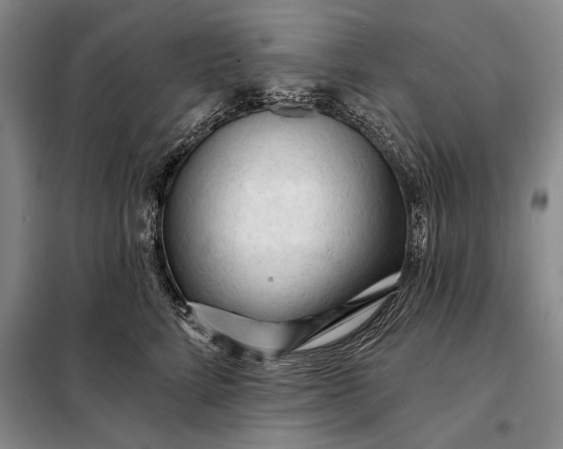 X0000098130712200805011321