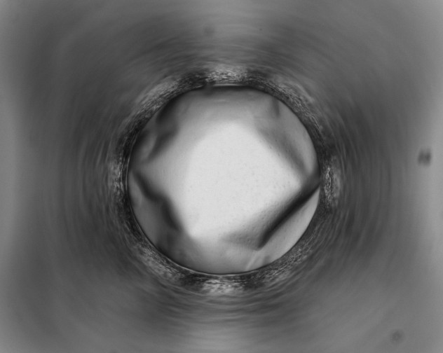 X0000098130714200805011321