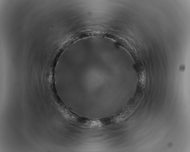 X0000098130715200805011321