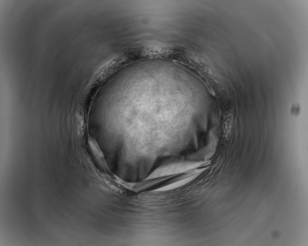 X0000098130716200805011321