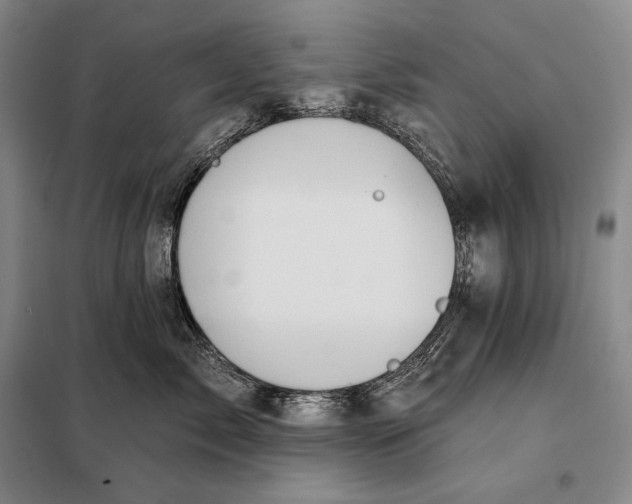 X0000098130717200805011321