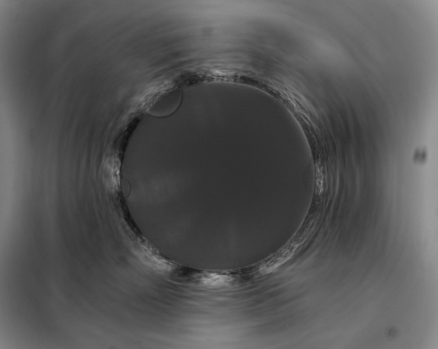 X0000098130718200805011321