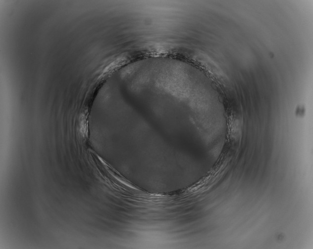 X0000098130719200805011321