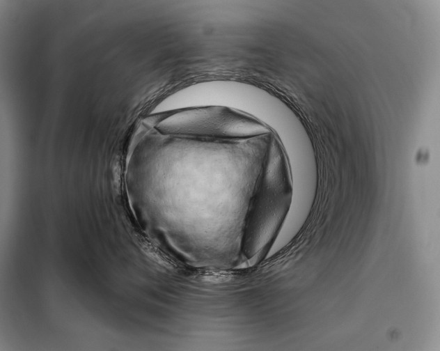 X0000098130720200805011321