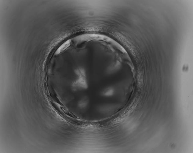 X0000098130721200805011320