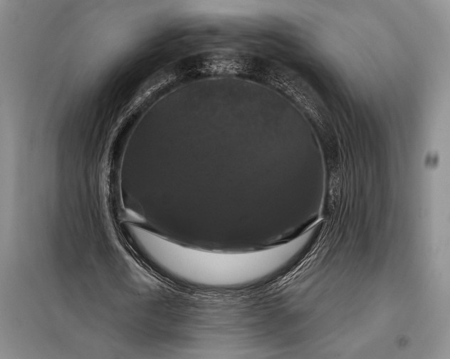 X0000098130722200805011320