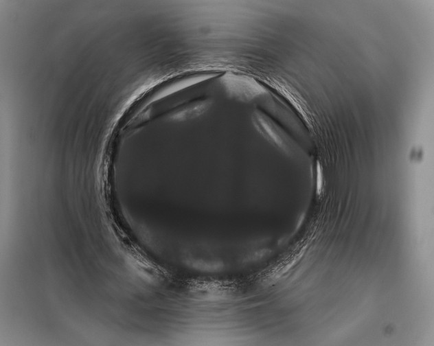 X0000098130723200805011320