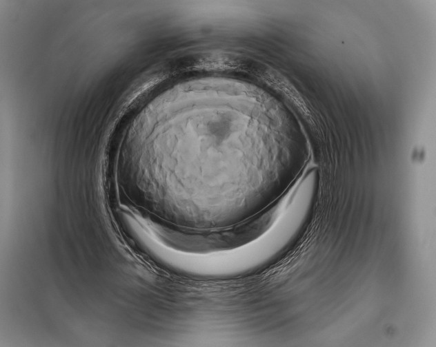 X0000098130724200805011320