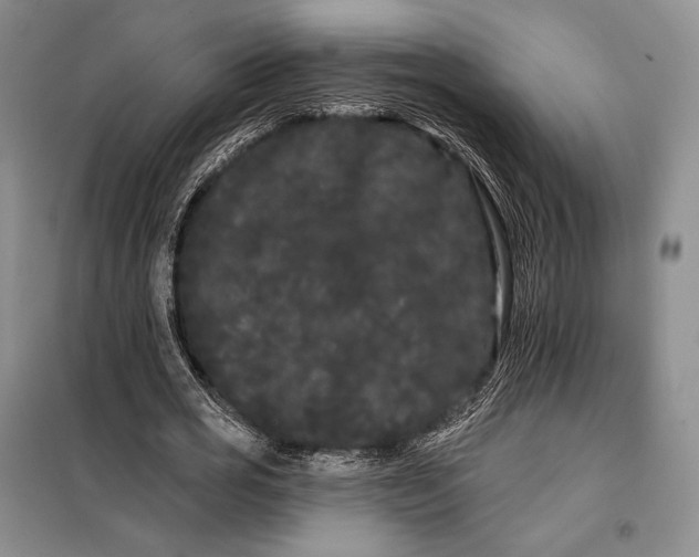X0000098130725200805011320