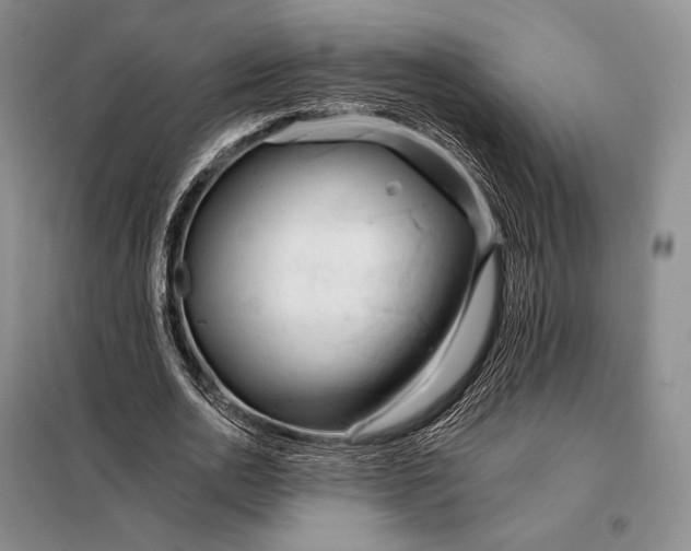 X0000098130726200805011320