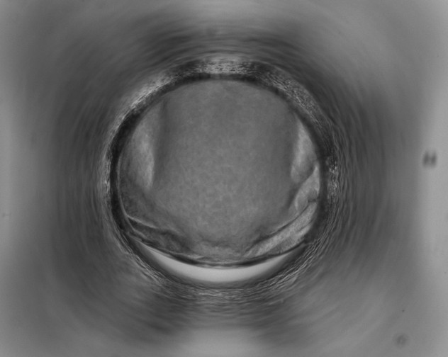X0000098130727200805011320