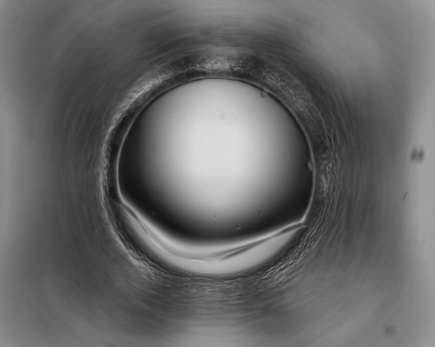 X0000098130728200805011320