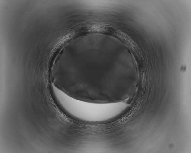 X0000098130729200805011320
