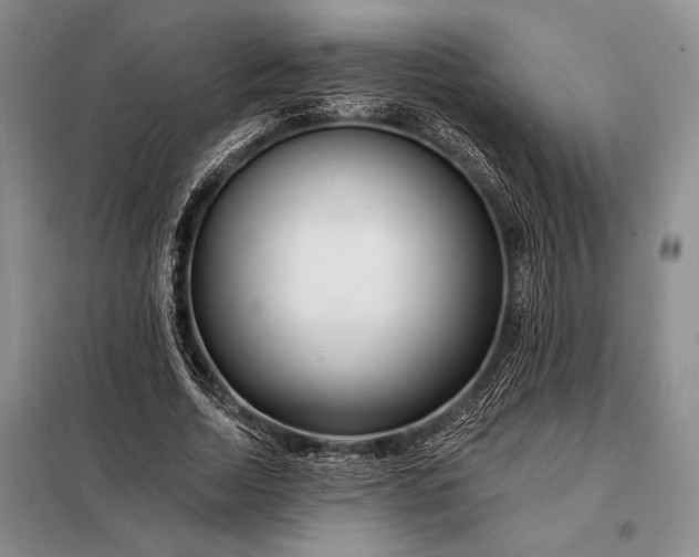 X0000098130730200805011321