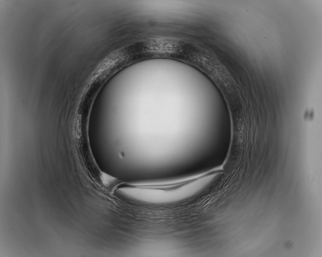 X0000098130731200805011321