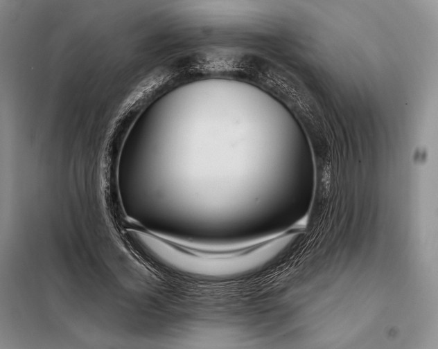 X0000098130732200805011321