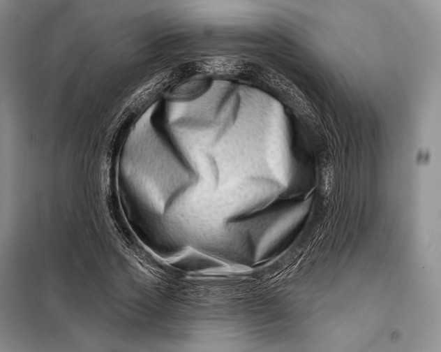 X0000098130733200805011321