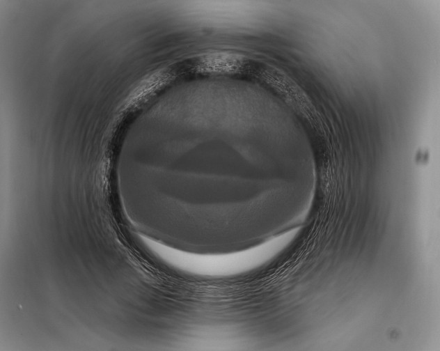 X0000098130735200805011321