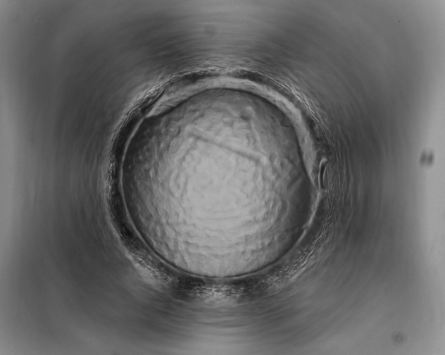 X0000098130736200805011321