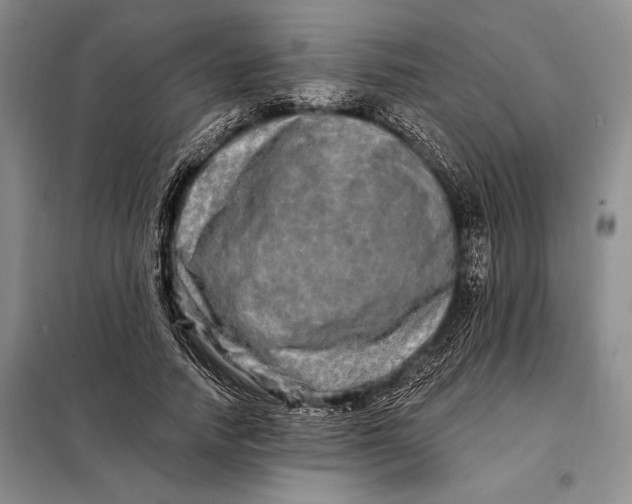 X0000098130738200805011321