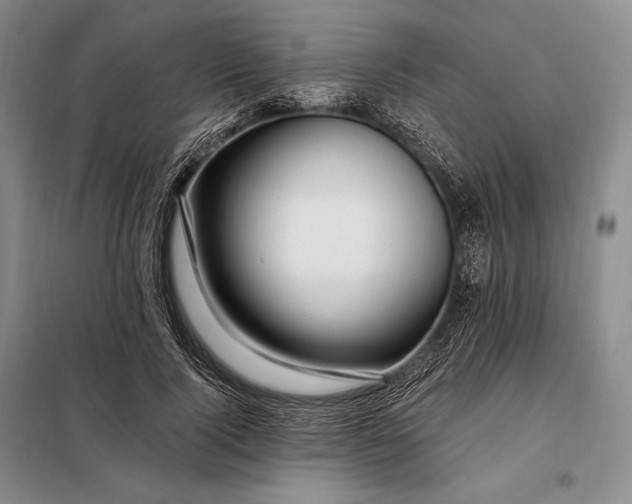 X0000098130740200805011321