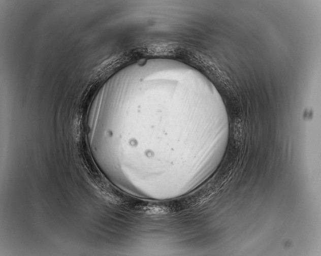 X0000098130741200805011321